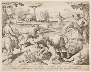Buffeljacht, plaat 27 in de Venationes Ferarum, Avium, Piscium serie door Jan van der Straet, called Stradanus