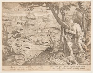 Kraanvogeljacht met kegels, plaat 28 in de Venationes Ferarum, Avium, Piscium serie door Jan van der Straet, called Stradanus