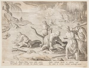 Krokodillenjacht in Tentyra, in Egypte, plaat 30 uit de Venationes Ferarum, Avium, Piscium serie door Jan van der Straet, called Stradanus