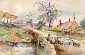 Een Landweg