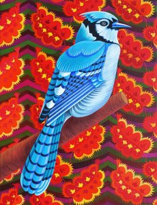 Blauwe Gaai, 2016