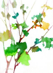  door Janel Bragg