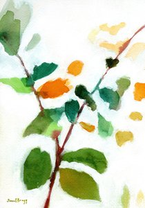  door Janel Bragg