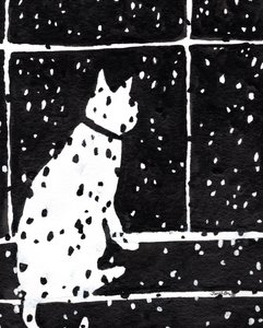 Kat in raam tijdens sneeuwstorm door Janel Bragg