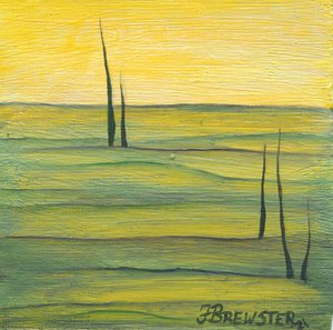  door Janine Brewster