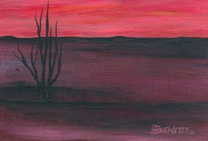  door Janine Brewster