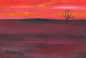  door Janine Brewster