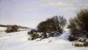 Winter bij de Zee, 1888 door Janus La Cour
