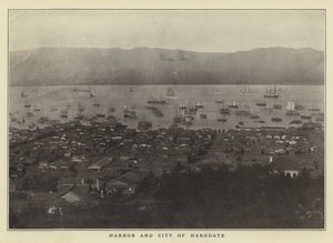 Haven en stad van Hakodate