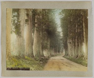 Imaichi-weg, Nikko, Japan (handgekleurde zwart-wit foto) door Japanese Photographer