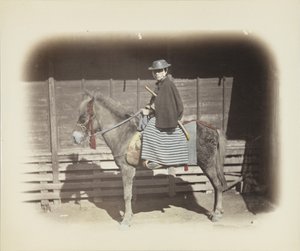 Man op een paard