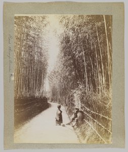 Weg door een bamboebos, Japan door Japanese Photographer