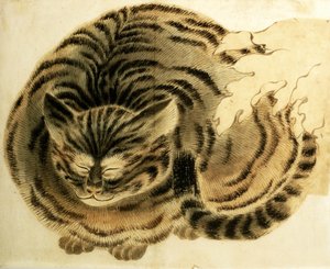 Slapende kat, pub. ca. 1850 (aquarel op papier) door Japanese Photographer