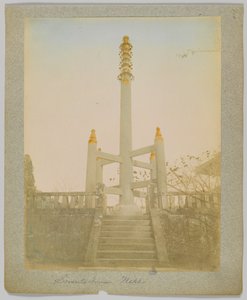 Sorento Toren, Nikko, Japan (handgekleurde zwart-wit foto)