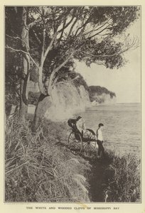 De witte en beboste kliffen van Mississippi Bay door Japanese Photographer