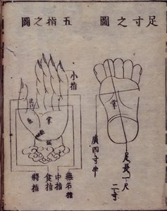 Diagram met acupunctuurpunten in de handen en voeten, uit een Japanse commentaar op een Chinees werk over acupunctuur, de Shisijing fahui van 1341 door Hua Shou, Kyoto