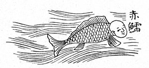 Een triton