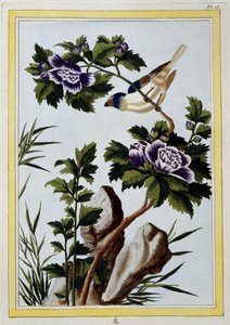 Vogel - Japanse prent