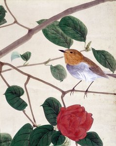 Vogel en bloemen. Japanse tekening door Riou Chim, eind 19e eeuw door Japanese School