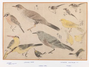 Vogels in Okyo-stijl door Japanese School