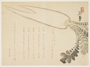 Daikon radijs door Japanese School