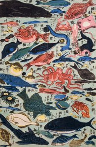 Verse vis, weekdieren en schaaldieren