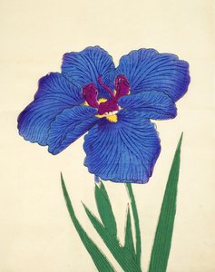 Gosetsu-no.-Mai, nr.9, 1898 door Japanese School