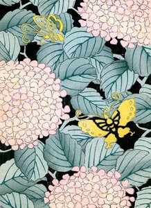 Hortensia