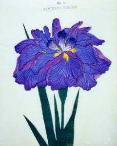 Kamiyo-no.-Mukashi, nr.16, 1898
