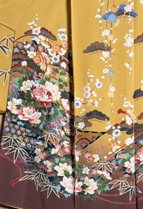 Kimono Furisode (wapperende mouwen) gedragen door jonge ongehuwde vrouwen bij elegante gelegenheden en Maiko (leerling Geisha), gladde zijde, bloemmotieven, zwevende linten, Kaga-Yuzen verven, Tokamachi weverijen, Japanse beschaving, 20e eeuw