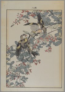 Twee vogels met roze bloemen, Meiji periode, ca. 1868-1912 door Japanese School