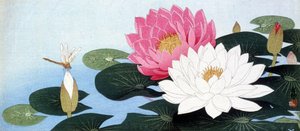 Waterlelies en libel - Japanse prent