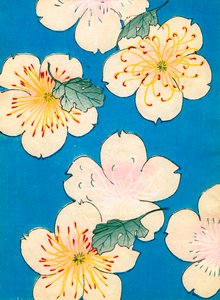 Kleur houtsnede van kornoelje bloemen