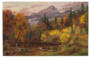 Herfstbladeren in de Witte Bergen (Mount Chocorua)