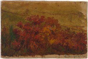 Zonder titel, 1876