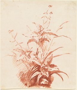 Blühende Pflanze mit Gras