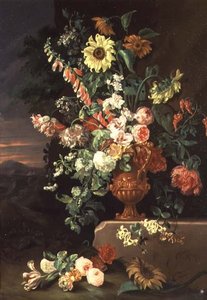 Zonnebloemen, vingerhoedskruid enz.