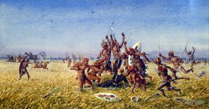 De prins keizerlijk is gedood in Zululand