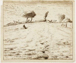 Landschap - Heuvel in Gruchy, Normandië