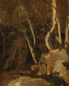 Bij Civita Castellana, beboste rotsen, 1825-28 door Jean Baptiste Camille Corot