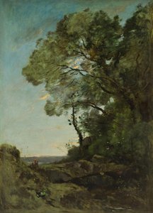 Boomlandschap (avond)