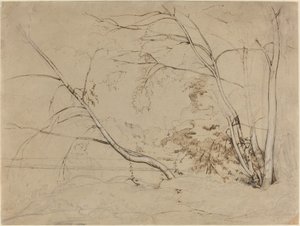 Boomgroep bij Civita Castellana door Jean Baptiste Camille Corot
