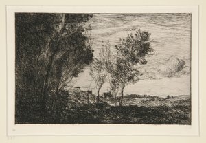 In De Duinen: Herinnering aan het Bos van Den Haag