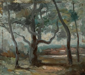 De grote boom (studie) door Jean Baptiste Camille Corot