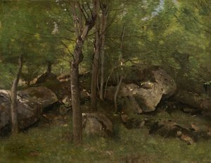 Rotsen in het Bos van Fontainebleau