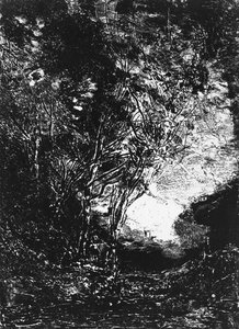 De hinderlaag, 1858 door Jean Baptiste Camille Corot