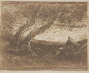 De Dromer (Le Songeur)