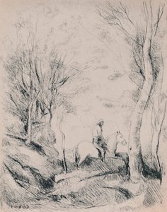 De Ruiter in het Bos