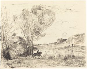 De ruiter in het riet