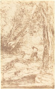De Houthakker van Rembrandt Le Bucheron de Rembrandt door Jean Baptiste Camille Corot